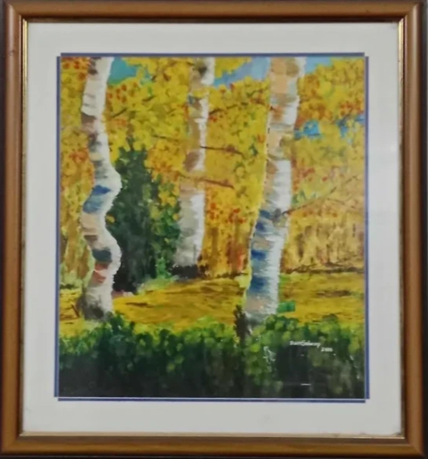 Birch Tree